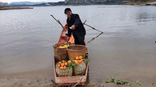 网友爆料渔船视频,惊险一幕！渔船海上遭遇突发状况  第2张