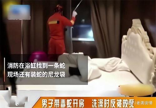 胁迫2在线观看,在线揭秘惊悚悬疑背后的真相