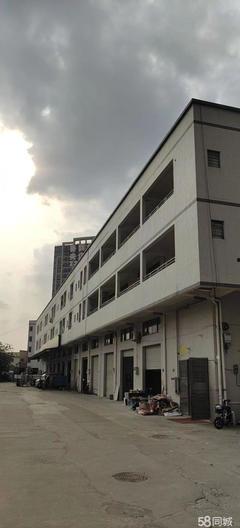 东莞爆料最新消息新闻,聚焦城市动态与热点事件  第3张